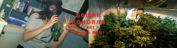 индика Карталы