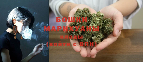 индика Карталы