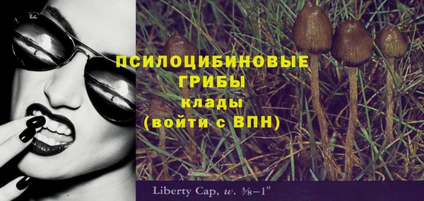 индика Карталы