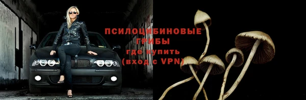 скорость mdpv Кинешма