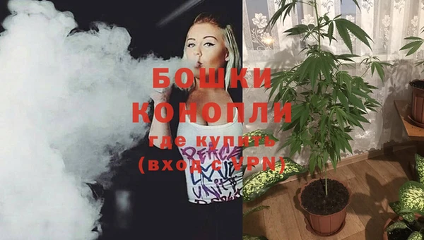 индика Карталы
