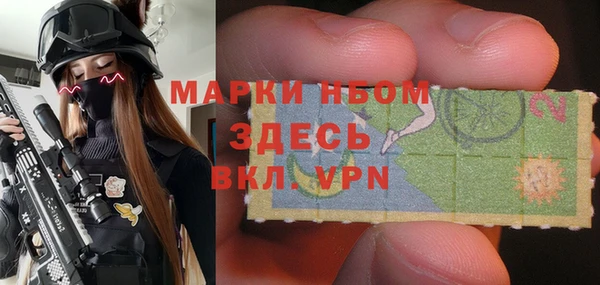 индика Карталы
