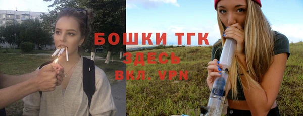 индика Карталы