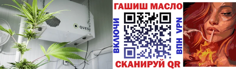 ТГК концентрат  mega ONION  Туринск  как найти закладки 